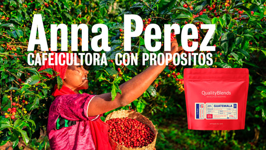 Café de Guatemala, café de mujeres
