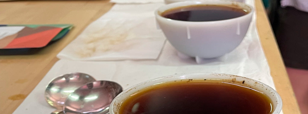 Què fa que un cafè sigui realment especial? Descobreix els nostres cafès