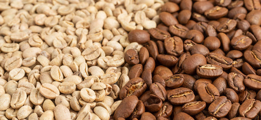 Granos de café verde y granos tostados donde se ve la transformación física