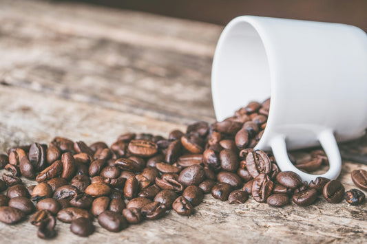 Tostadores de café: Guía completa para elegir el mejor