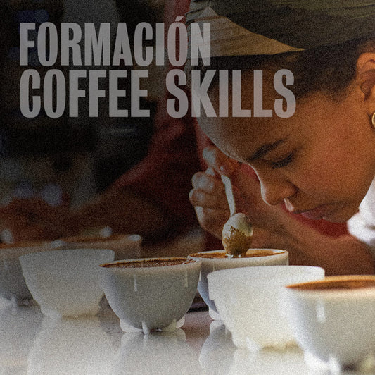Formació Coffee Skills (4h)
