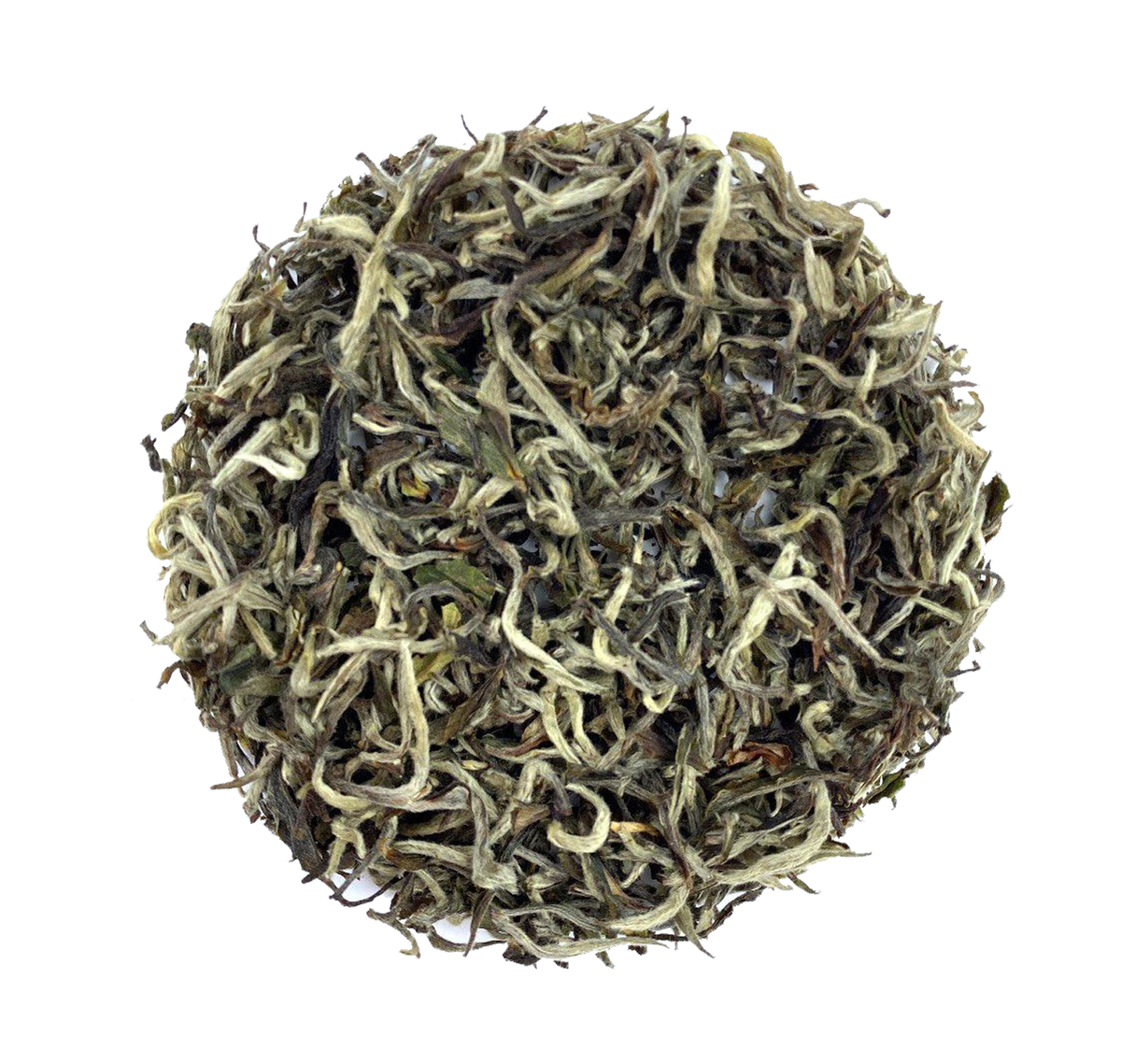 Himalayan Snow Mountain BIO