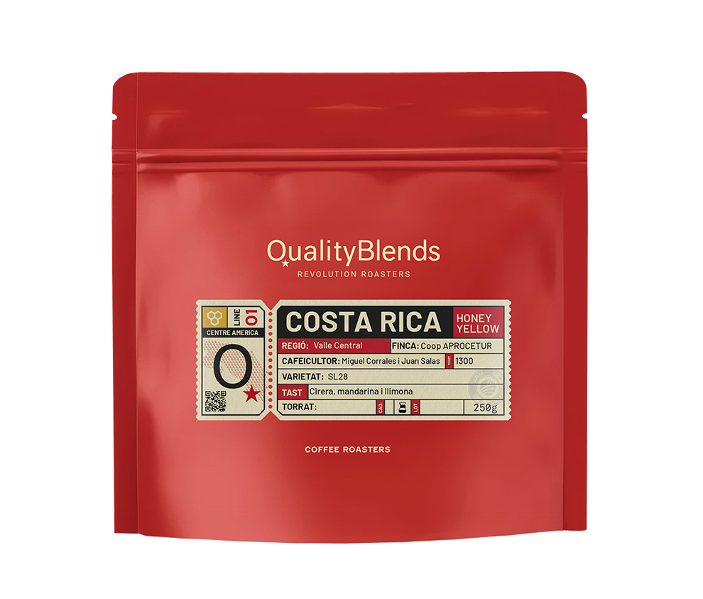 Costa Rica – Valle Central Aprocetu SL28 – Yellow Honey