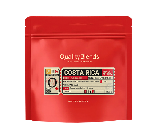 Costa Rica – Valle Central Aprocetu SL28 – Yellow Honey