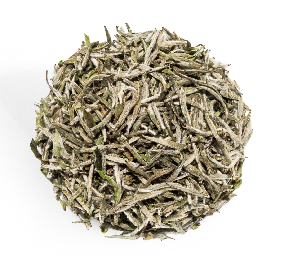 Yin Zhen Silverneedle BIO